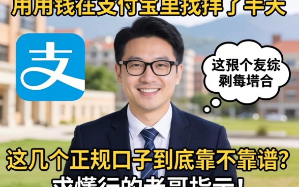 急用钱在支付宝里找了半天，这几个正规口子到底靠不靠谱？求懂行的老哥指点！
