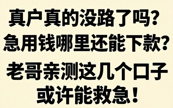 黑户真的没路了吗？急用钱哪里还能下款？老哥亲测这几个口子或许能救急！