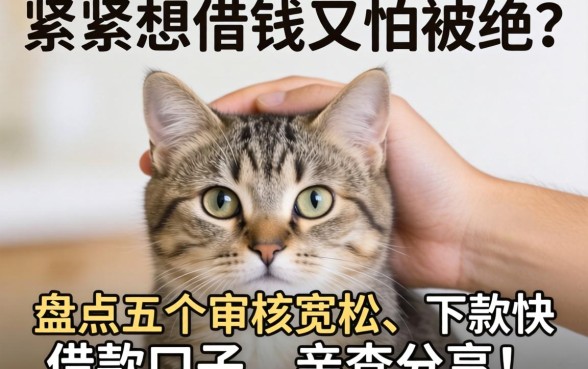 手头紧想借钱又怕被拒？盘点五个审核宽松、下款快的借款口子，亲测分享！