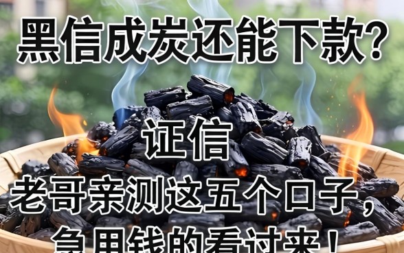 征信黑成炭还能下款?老哥亲测这五个口子,急用钱的看过来!