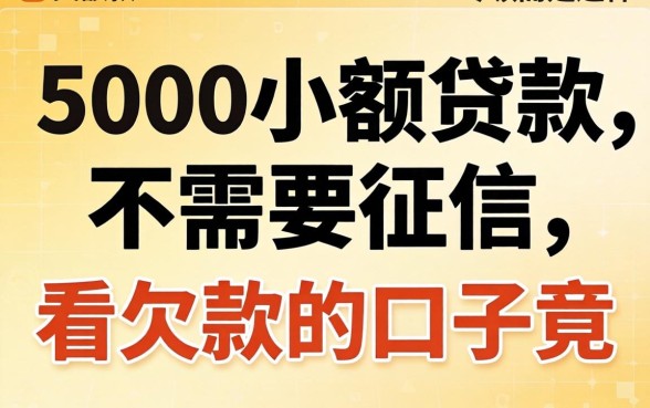 我借了5000小额贷款不需要征信,结果发现不看欠款的口子竟然是这样