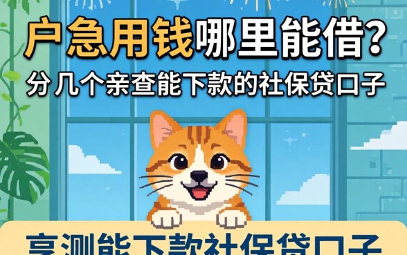 黑户急用钱哪里能借？分享几个亲测能下款的社保贷口子