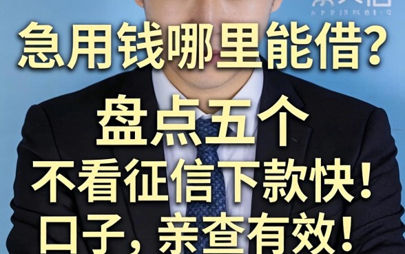 征信黑户急用钱哪里能借?盘点五个不看征信下款快的口子,亲测有效!