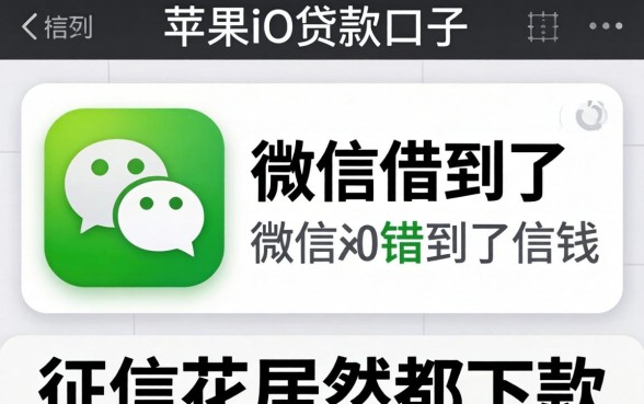 我用苹果id贷款口子微信借到了钱，征信花居然都下款