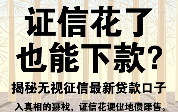 征信花了也能下款?揭秘无视征信最新贷款口子的真相