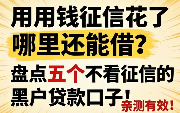 急用钱征信花了哪里还能借？盘点五个不看征信的黑户贷款口子，亲测有效！
