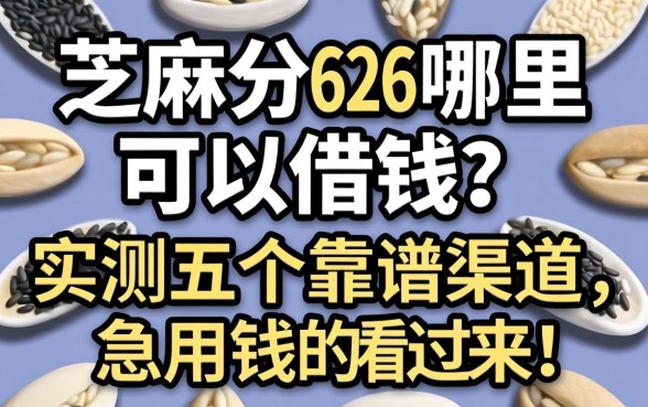 芝麻分626哪里可以借钱？实测五个靠谱渠道，急用钱的看过来！