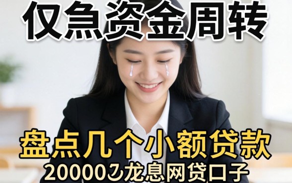 急需资金周转？盘点几个小额贷款20000的网贷口子