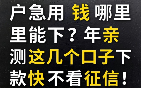 黑户急用钱哪里能下?2026年亲测这几个口子下款快不看征信!