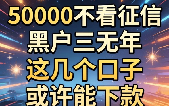 揭秘50000不看征信黑户三无2026年,这几个口子或许能下款