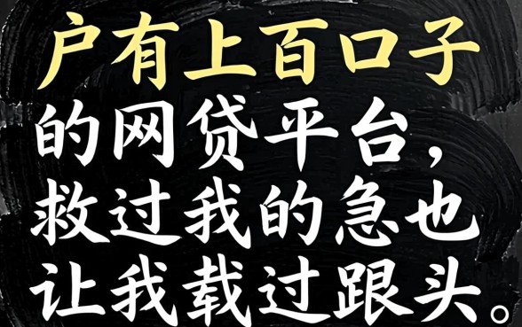 黑户有上百口子的网贷平台,救过我的急也让我栽过跟头