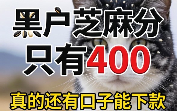 黑户芝麻分只有400,真的还有口子能下款吗?急求不看征信的路子!