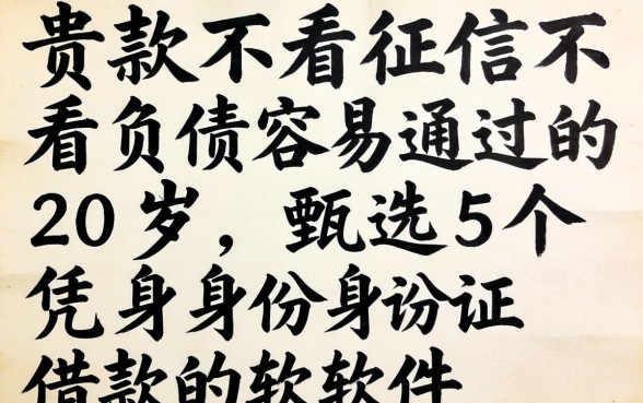 贷款不看征信不看负债容易通过的20岁,甄选5个凭身份证借款的软件