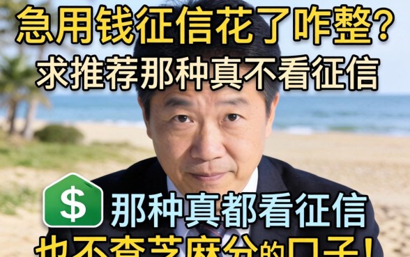 急用钱征信花了咋整？求推荐那种真不看征信也不查芝麻分的口子！