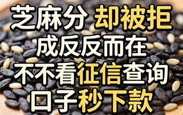 我芝麻分2026分却被拒，反而在不看征信查询的口子秒下款