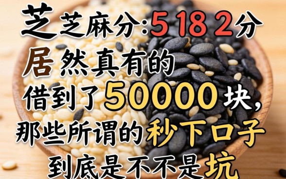 我芝麻分582分居然真的借到了5000块，那些所谓的秒下口子到底是不是坑