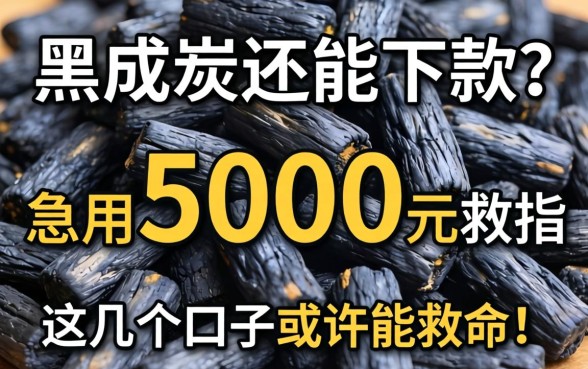 征信黑成炭还能下款？急用5000元自救指南，这几个口子或许能救命！
