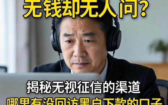 急需用钱却无人问津？揭秘无视征信的渠道，哪里有没回访黑户下款的口子？