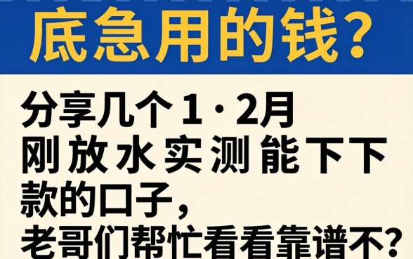 年底急用钱？分享几个12月刚放水实测能下款的口子，老哥们帮忙看看靠谱不？