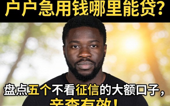 黑户急用钱哪里能贷？盘点五个不看征信的大额口子，亲测有效！
