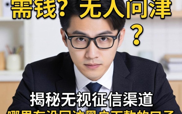 急需用钱却无人问津？揭秘无视征信的渠道，哪里有没回访黑户下款的口子？