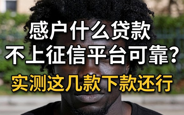 黑户什么贷款不上征信平台可靠？实测这几款下款还行