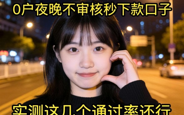 黑户夜间不审核秒下款的口子2026,实测这几个通过率还行