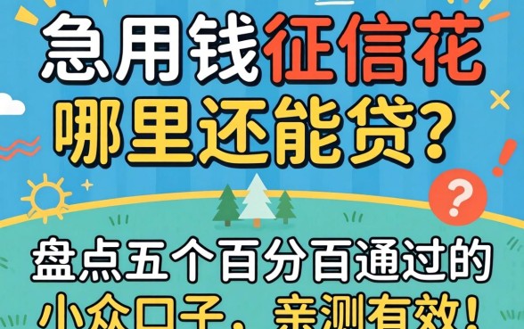 急用钱征信花哪里还能贷？盘点五个百分百通过的小众口子，亲测有效！