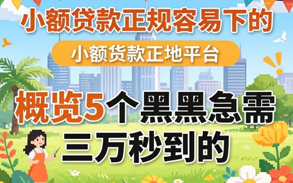 小额贷款正规容易下的，概览5个黑户急需三万秒到的的平台