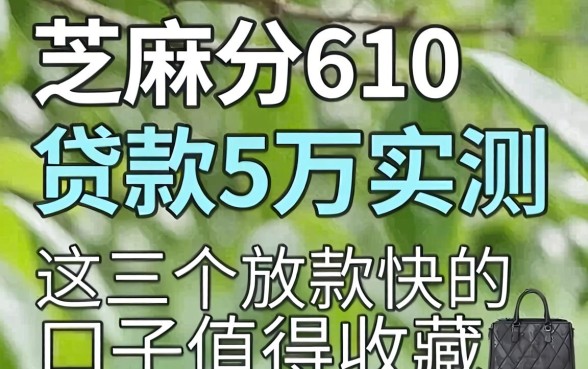 芝麻分610贷款5万实测，这几个放款快的口子值得收藏