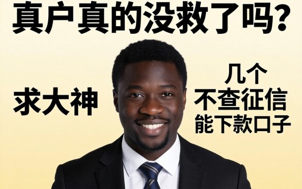 黑户真的没救了吗?求大神推荐几个不查征信能下款的口子!
