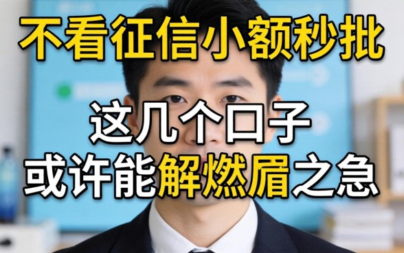 揭秘不看征信小额秒批，这几个口子或许能解燃眉之急
