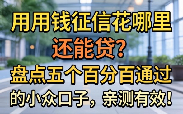 急用钱征信花哪里还能贷？盘点五个百分百通过的小众口子，亲测有效！