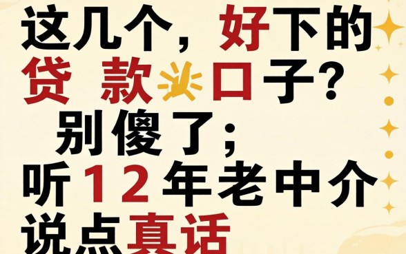 求几个好下的贷款口子？别傻了，听12年老中介说点真话
