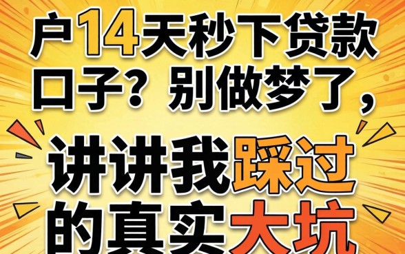 黑户14天秒下贷款口子？别做梦了，讲讲我踩过的真实大坑