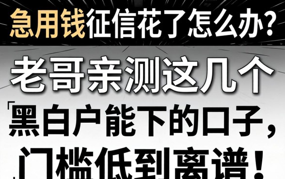 急用钱征信花了怎么办？老哥亲测这几个黑白户能下的口子，门槛低到离谱！