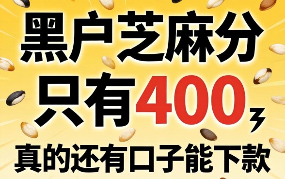 黑户芝麻分只有400,真的还有口子能下款吗?急求不看征信的路子!