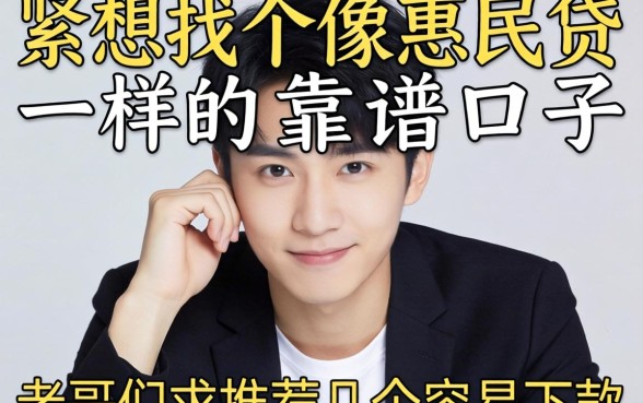 手头紧想找个像惠民贷一样的靠谱口子，老哥们求推荐几个容易下款的！