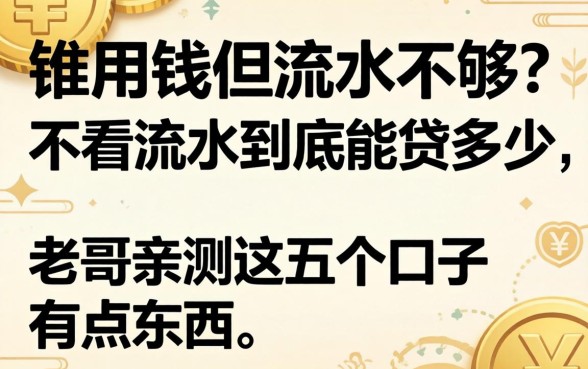 急用钱但流水不够？不看流水到底能贷多少，老哥亲测这五个口子有点东西