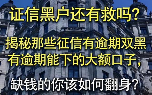 征信黑户还有救吗？揭秘那些征信有逾期双黑有逾期能下的大额口子，缺钱的你该如何翻身？