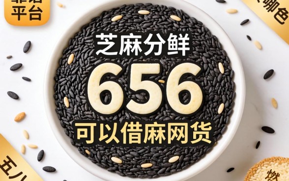 芝麻分656可以借的网贷有哪些?这五个靠谱平台或许能解你的燃眉之急
