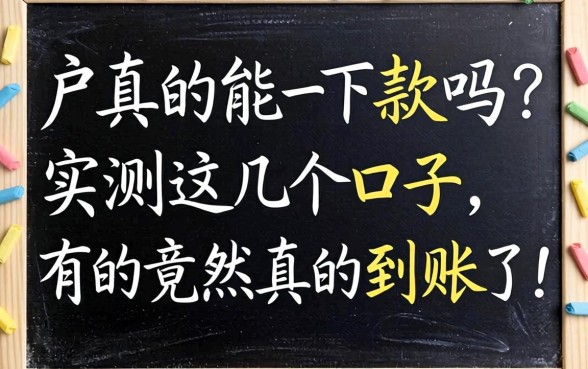 黑户真的能下款吗?实测这几个口子,有的竟然真的到账了!