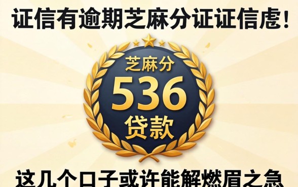 征信有逾期芝麻分536贷款，这几个口子或许能解燃眉之急