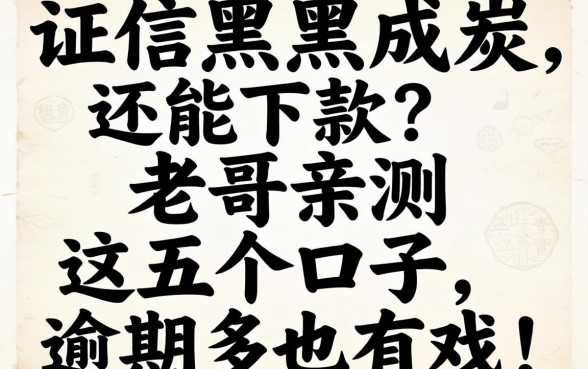 征信黑成炭还能下款?老哥亲测这五个口子,逾期多也有戏!