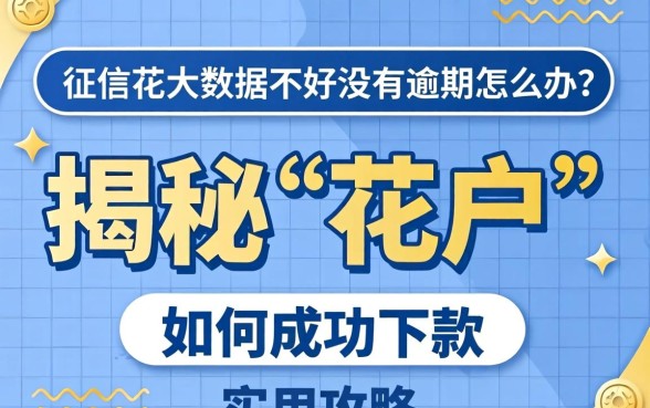 征信花大数据不好没有逾期怎么办？揭秘“花户”如何成功下款的实用攻略
