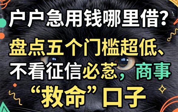 黑户急用钱哪里借？盘点五个门槛超低、不看征信的“救命”口子