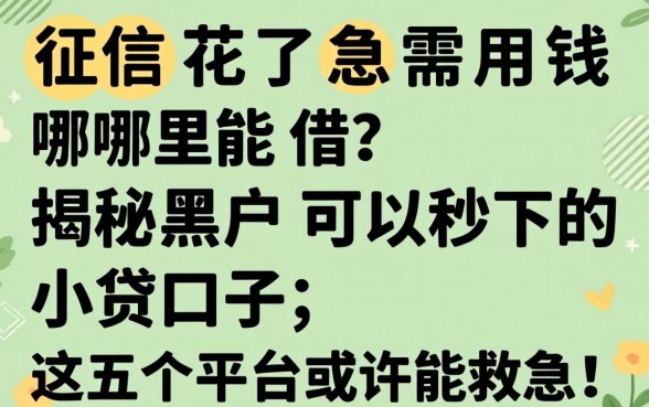 征信花了急需用钱哪里能借？揭秘黑户可以秒下的小贷口子，这五个平台或许能救急！