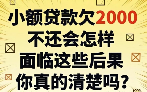 小额贷款欠2000不还会怎样?面临这些后果你真的清楚吗?