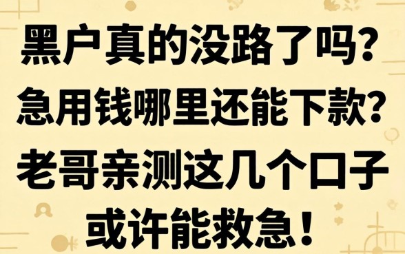 黑户真的没路了吗？急用钱哪里还能下款？老哥亲测这几个口子或许能救急！