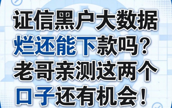 征信黑户大数据烂还能下款吗?老哥亲测这几个口子还有机会!